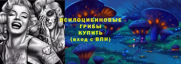 mdpv Медвежьегорск